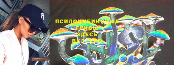 дмт Волоколамск