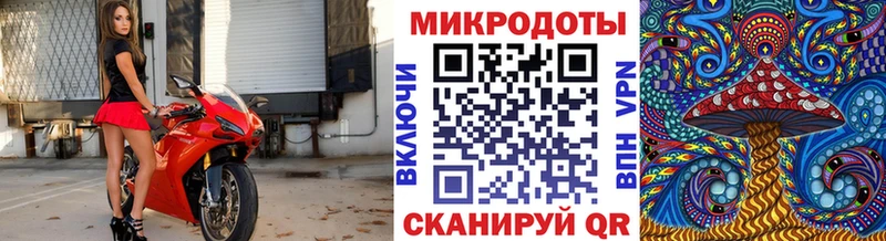цена наркотик Кашира Галлюциногенные грибы мицелий